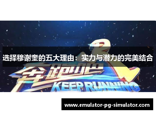 选择穆谢奎的五大理由：实力与潜力的完美结合